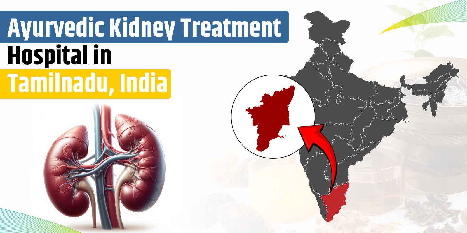 Ayurvedic Kidney Treatment Hospital in Tamil Nadu, India